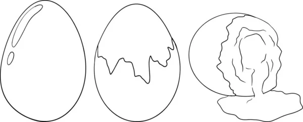 手绘病媒蛋 农场鸡蛋 绘制成分 乡村矢量图解 — 图库照片