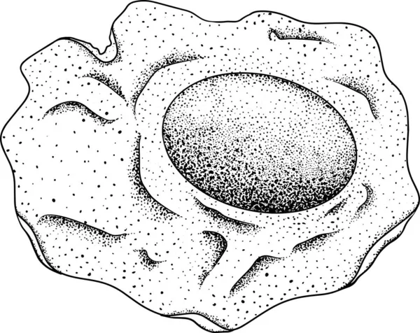 Ručně Nakreslená Vektorová Vejce Míchaná Omeleta Farmářská Vejce Kreslení Ingredience — Stock fotografie