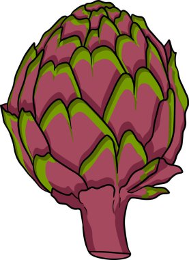 Enginar tomurcuğu. Sağlıklı, taze, çiftlik sebzeleri. Beyaz arkaplanda el çizimi enginar izole.