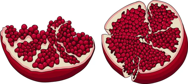 Ilustración vectorial de color granada sobre fondo blanco. Dibujo de comida vegetariana. Granate maduro con semillas — Archivo Imágenes Vectoriales