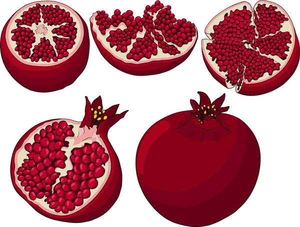 Granaatappel gekleurde vector illustratie op witte achtergrond. Vegetarische voedseltekening. Ripe granaatvruchten met zaden — Stockvector