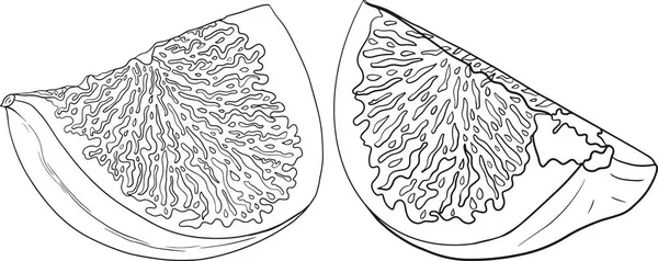 Higos Vectoriales Producto Fruta Para Etiqueta Jugo Mermelada Etiqueta Embalaje — Archivo Imágenes Vectoriales