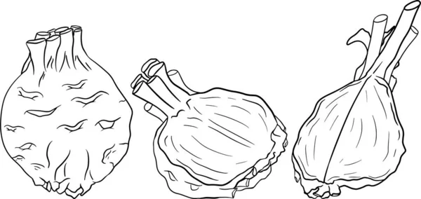 Ilustração vetorial desenhada à mão de aipo. Páginas para colorir. Produto agrícola — Vetor de Stock