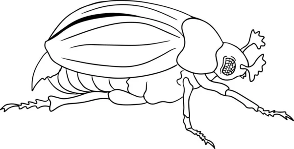 Roach Beetles Coloring Pages Detailed Illustration Bugs Vector Hand Drawn — Stok Vektör