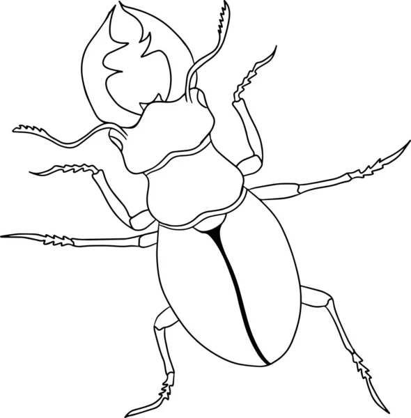 Deer Beetle Beetles Coloring Pages Detailed Illustration Bugs Vector Hand — 图库矢量图片