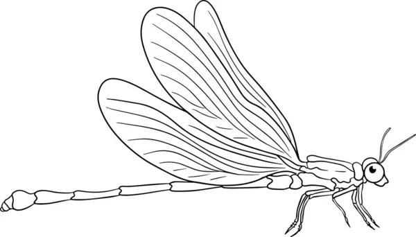 Dragonfly Beetles Coloring Pages Detailed Illustration Bugs Vector Hand Drawn — Image vectorielle