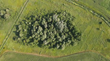 Top view photo with flying drone of the land with fields in the countryside. Photo of a field with untreated areas. Trees in the field