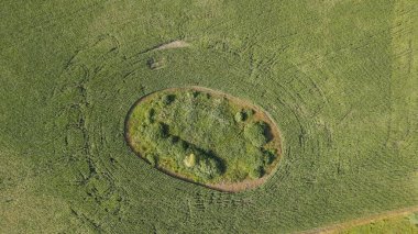 Top view photo with flying drone of the land with fields in the countryside. Photo of a field with untreated areas. Trees in the field