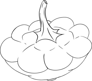 Bir pastanın vektör çizimi. Patty Pan kabağı beyaz arka planda izole edilmiş. Sebzelerle boyama sayfaları. Bulaşık şekilli balkabağı