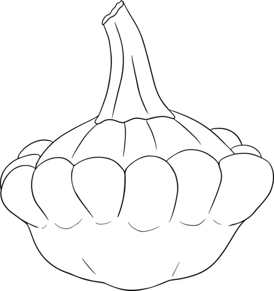 Illustration Vectorielle Pâtisson Patty Poêle Courge Isolée Sur Fond Blanc — Image vectorielle