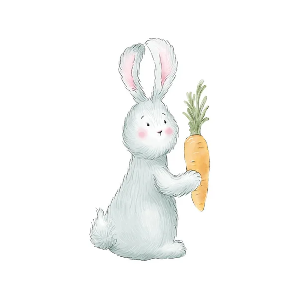 手描きのウサギ ニンジンのウサギ イラスト — ストック写真