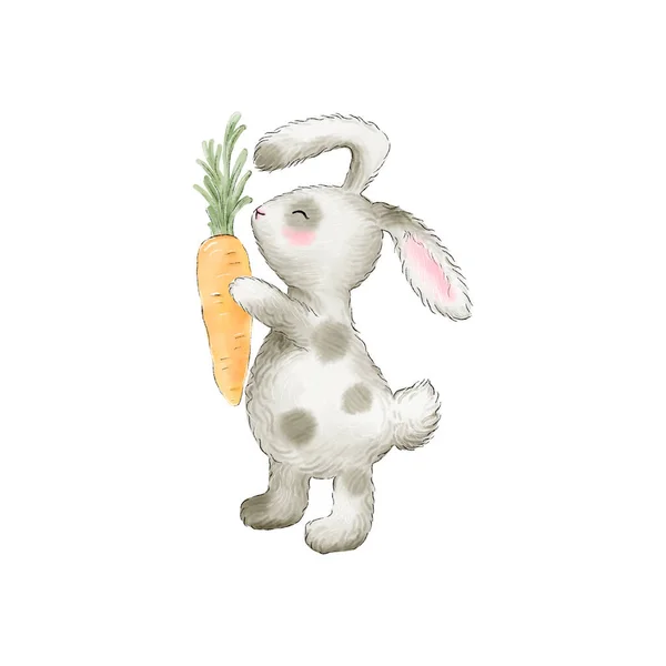 手绘兔子 兔子用胡萝卜 说明1 — 图库照片