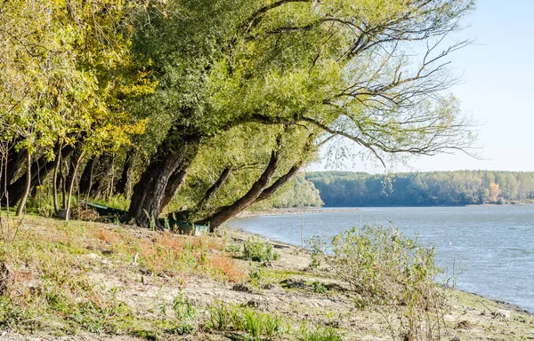 노비사드 의가을에 다뉴브강 — 스톡 사진