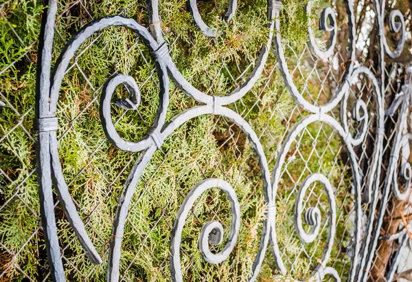 Steel Street Fence Decorative Spirals — стоковое фото
