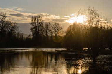 Sırbistan 'ın Novi Sad kenti yakınlarındaki sulardaki dalların yansımasıyla, Tuna kolunun kışın panoraması