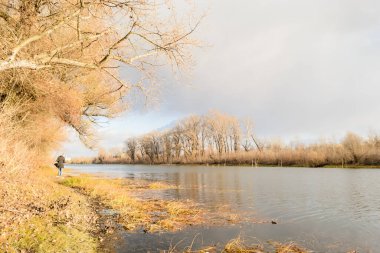 Sırbistan 'ın Novi Sad kenti yakınlarındaki sulardaki dalların yansımasıyla, Tuna kolunun kışın panoraması