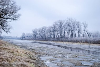Novi Sad yakınlarındaki Tuna Nehri 'nin donmuş kollarının panoraması.