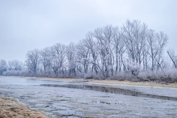 ノヴィ サド市付近のドナウ川の凍結支流のパノラマ — ストック写真