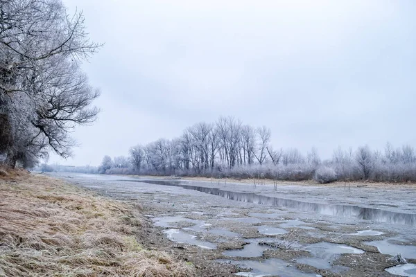 Novi Sad Yakınlarındaki Tuna Nehri Nin Donmuş Kollarının Panoraması — Stok fotoğraf