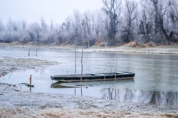 얼어붙은 다뉴브강 강기슭에 — 스톡 사진