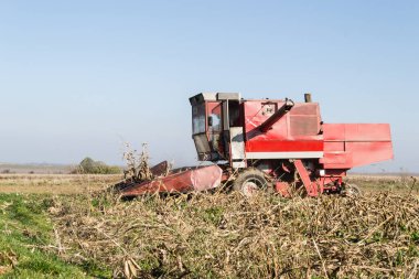 Buğday tarlasını hasat etmek için biçme makinesi.