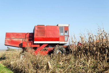 Buğday tarlasını hasat etmek için biçme makinesi.