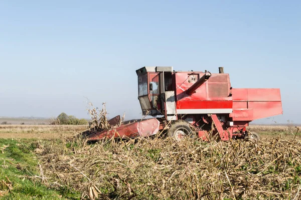Buğday tarlasını hasat etmek için biçme makinesi.