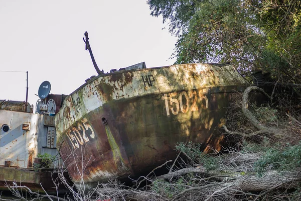 Novi Sad 'daki Tuna Nehri kıyısında terk edilmiş eski bir tanker enkazı bulundu..