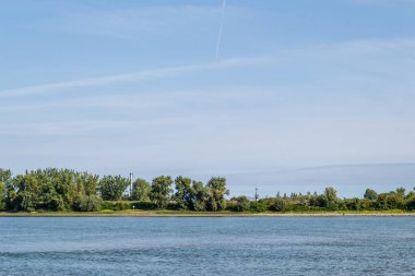 Tuna Nehri 'nin kumlu kıyısı, Petrovaradin, Novi Sad, Sırbistan. Tuna 'nın kumlu kıyılarının manzarası,
