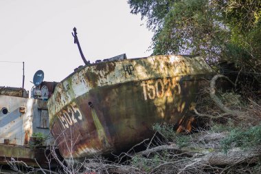 Novi Sad 'daki Tuna Nehri kıyısında terk edilmiş eski bir tanker enkazı bulundu..