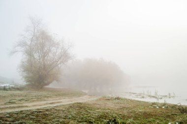 Kalın sisle kaplı göletin manzarası..