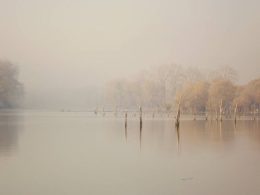 Novi Sad, Sırbistan - Aralık 04. 2013: Sırbistan 'ın Novi Sad kenti yakınlarındaki Tuna Nehri' nin kolları üzerinde gün batımı