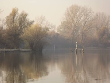 Novi Sad, Sırbistan - Aralık 04. 2013: Sırbistan 'ın Novi Sad kenti yakınlarındaki Tuna Nehri' nin kolları üzerinde gün batımı