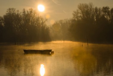 Sırbistan 'ın Novi Sad kenti yakınlarındaki Tuna Nehri' nin kolunda unutulmuş bir balıkçı teknesi.