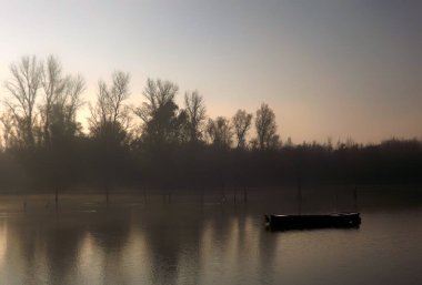 Sırbistan 'ın Novi Sad kenti yakınlarındaki Tuna Nehri' nin kolunda unutulmuş bir balıkçı teknesi.
