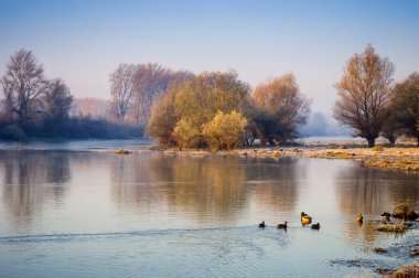 Novi Sad, Sırbistan - Aralık 04. 2013: Sırbistan 'ın Novi Sad kenti yakınlarındaki Tuna Nehri' nin kolları üzerinde gün batımı