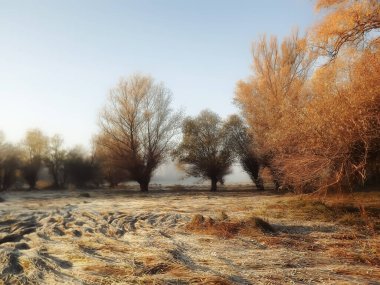 Novi Sad, Sırbistan - Aralık 04. 2013: Sırbistan 'ın Novi Sad kenti yakınlarındaki Tuna Nehri' nin kolları üzerinde gün batımı