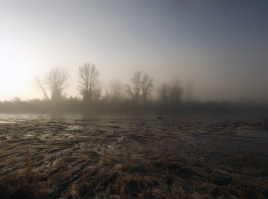 Novi Sad, Sırbistan - Aralık 04. 2013: Sırbistan 'ın Novi Sad kenti yakınlarındaki Tuna Nehri' nin kolları üzerinde gün batımı