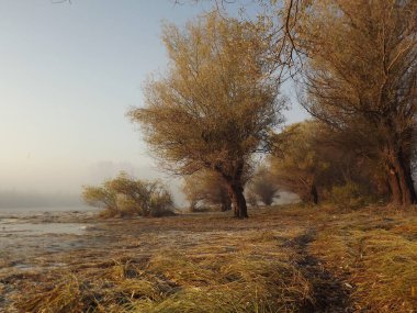 Novi Sad, Sırbistan - Aralık 04. 2013: Sırbistan 'ın Novi Sad kenti yakınlarındaki Tuna Nehri' nin kolları üzerinde gün batımı