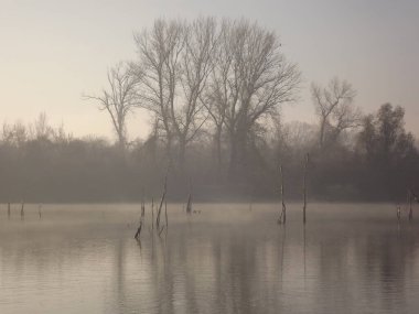Novi Sad, Sırbistan - Aralık 04. 2013: Sırbistan 'ın Novi Sad kenti yakınlarındaki Tuna Nehri' nin kolları üzerinde gün batımı
