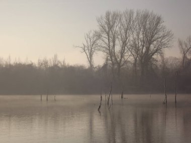 Novi Sad, Sırbistan - Aralık 04. 2013: Sırbistan 'ın Novi Sad kenti yakınlarındaki Tuna Nehri' nin kolları üzerinde gün batımı