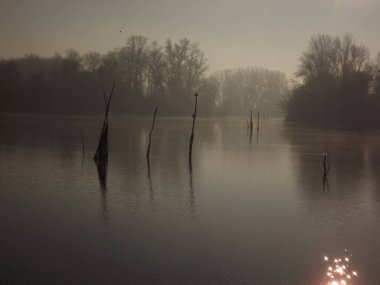 Novi Sad, Sırbistan - Aralık 04. 2013: Sırbistan 'ın Novi Sad kenti yakınlarındaki Tuna Nehri' nin kolları üzerinde gün batımı