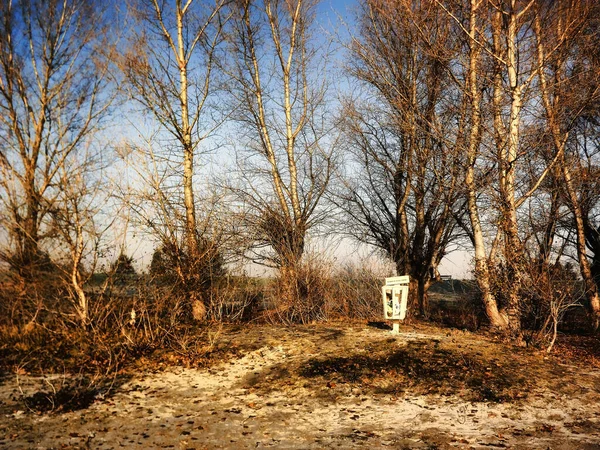 Novi Sad Sérvia Dezembro 2013 Pôr Sol Sobre Afluente Danúbio — Fotografia de Stock