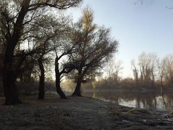 Novi Sad Serbia Desember 2013 Matahari Terbenam Atas Anak Sungai — Stok Foto