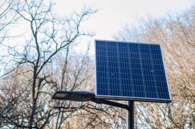 Kamenica, Novi Sad 'daki şehir parkında güneşli bir gün. Sırbistan 'ın Novi Sad kenti yakınlarındaki Kamenica kentindeki şehir parkındaki gezinti alanına alternatif enerji sisteminin güneş panelleri kuruldu.