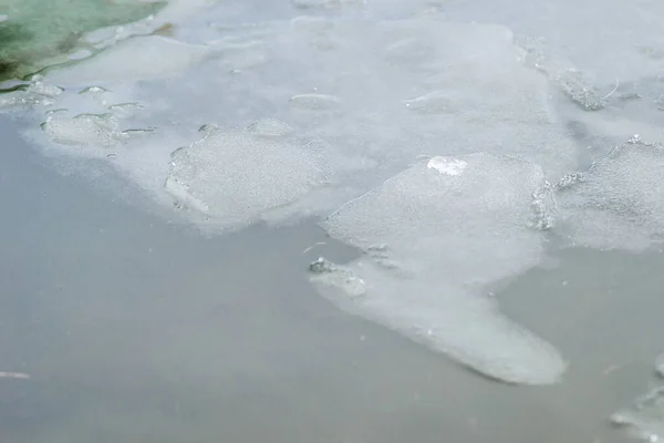 Kış Buzuyla Kaplı Bataklık Suyu — Stok fotoğraf