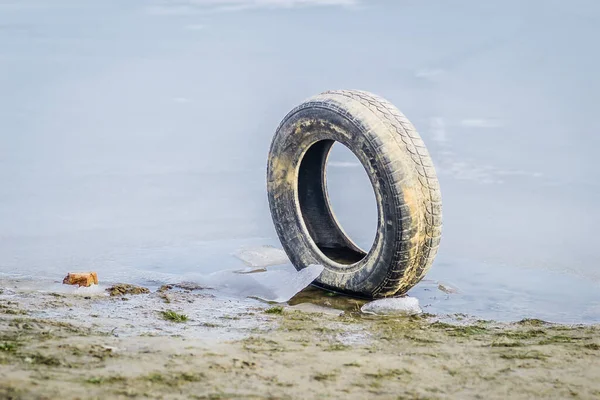 在冰雪覆盖的沼泽地里的一个废弃的汽车轮胎 — 图库照片