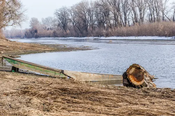 연못의 얼어붙은 물에서 잊혀진 목선들 — 스톡 사진