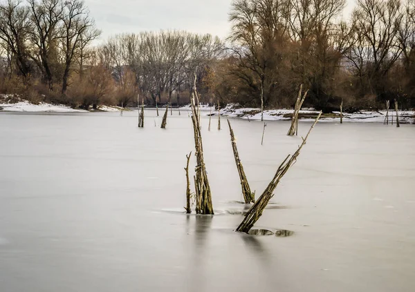 Деревянные Лодки Забытые Ледяной Воде Пруда — стоковое фото