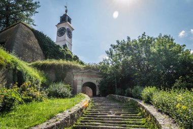 Ortaçağ Petrovaradin Kale Kulesi Novi Sad Sırbistan